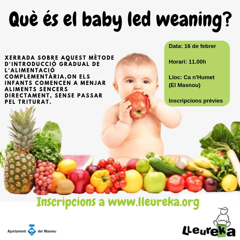Xerrada, Què és el Baby led weanig?
